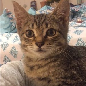 Meet your Posher, Madison